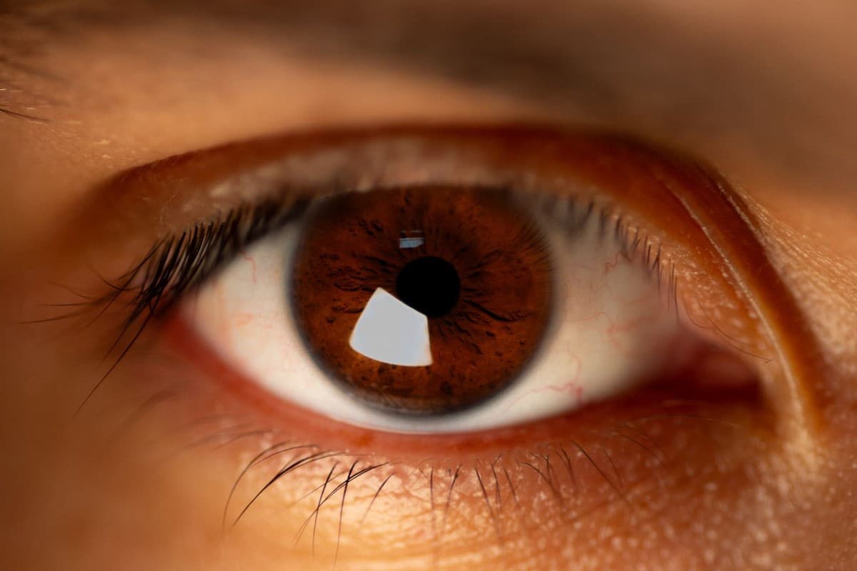 A close-up view of an eye